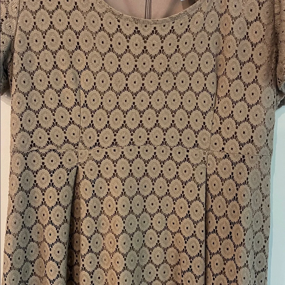 Rabbit Rabbit Rabbit Beige Lace Overlay Dress - Picture 4 of 8